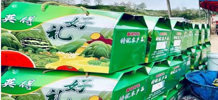 微信截图_20230607072853.jpg