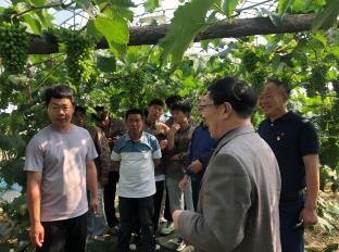 微信截图_20230607082539.jpg